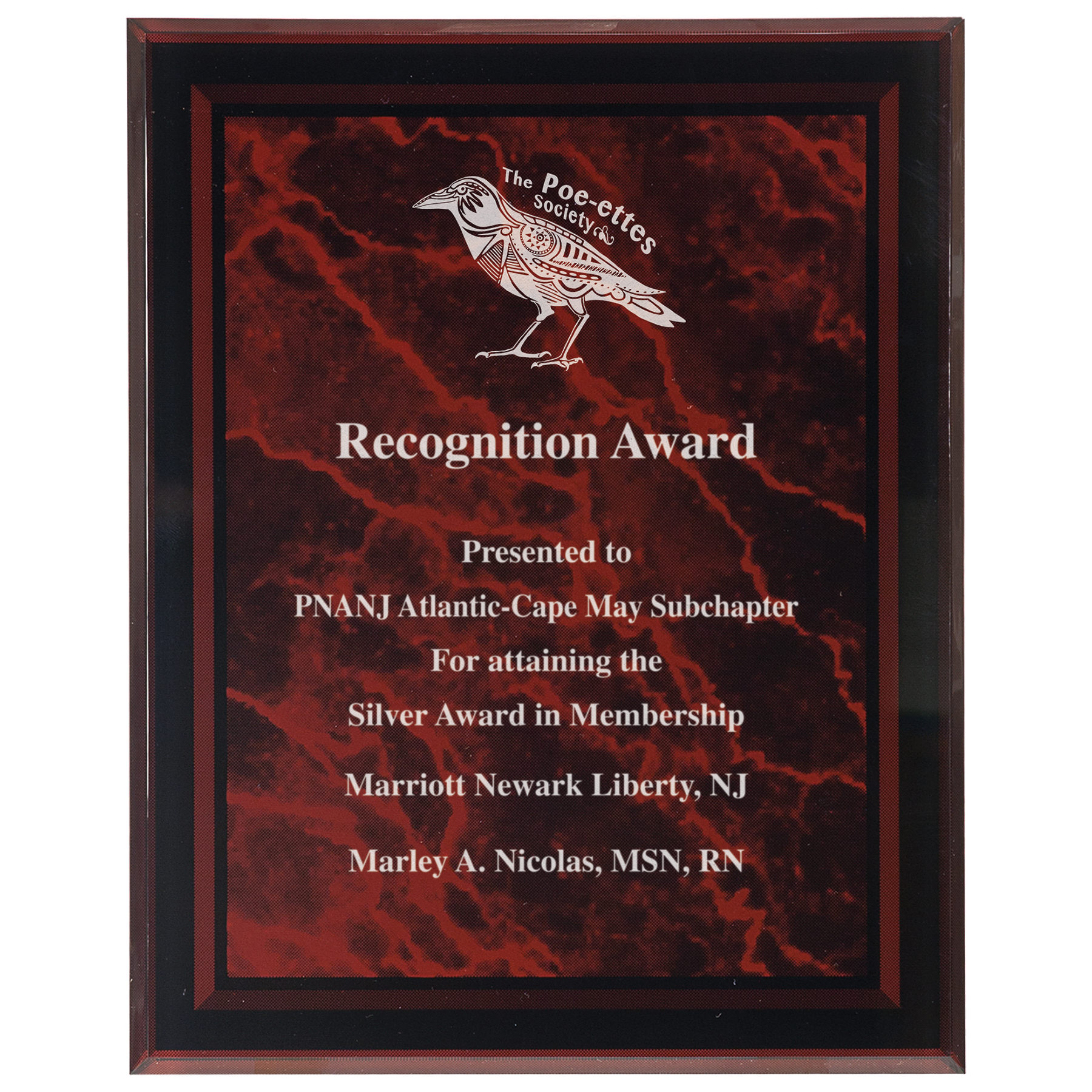 8" x 10" -Plaq Acrylic - Image 5