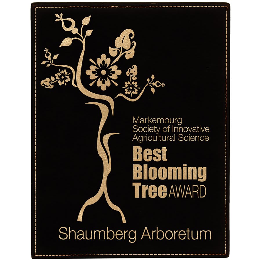 7" x 9" Laserable Leatherette Plaque - Image 3