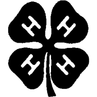 O3 – 4H – 49