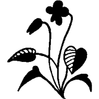 F7 – African – Violet – 54