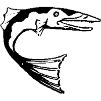 M3 – Barracuda – 146
