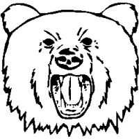 M5 – Bear – 258