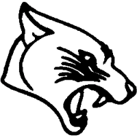 M11 – Cougar – 85