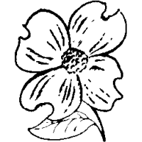 F3 – Dogwood – 63