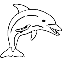 M14 – Dolphin – 248