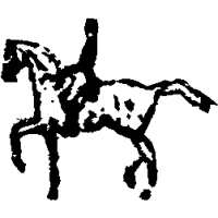 E8 – English – Rider – 201