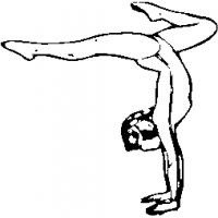 GY5 – Floor – 243