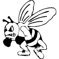 M18 – Hornet – 250