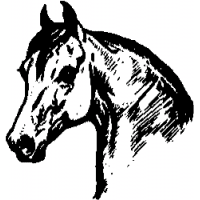 E5 – Horse – 2 – 101