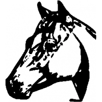 E6 – Horse – 3 – 102