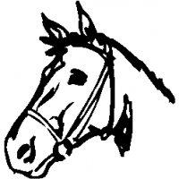 E4 – Horse – 1 – 12