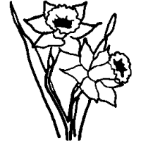 F5 – Lily – 64