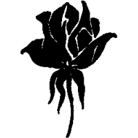 F1 – Rose – 51