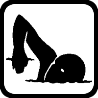 S11 – Swim – 236