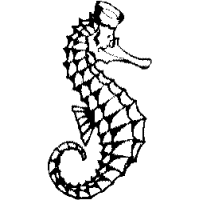 M26 – Sea – Horse – 147
