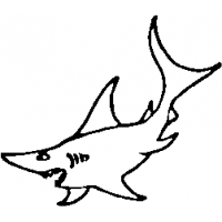 M27 – Shark – 144