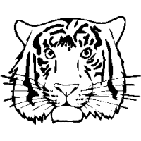 M29 – Tiger – 249