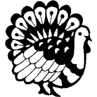 H9 – Turkey – 216