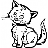X2 – Cat – 37