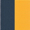 Navy/Gold