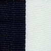 Navy/White