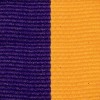 Purple/Gold