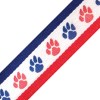 R/W/B Paw